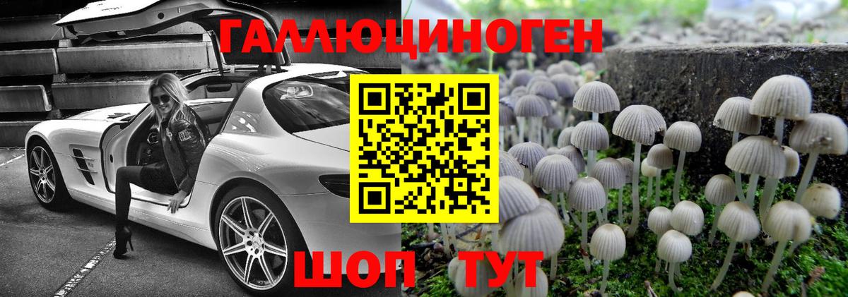 Галлюциногенные грибы Psilocybe  Вход с VPN  Железногорск 